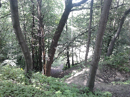 Лысая гора