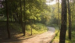 соломенский парк